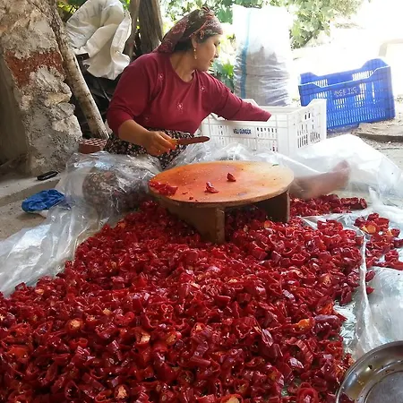Beymelek Tas Evler Country house Demre